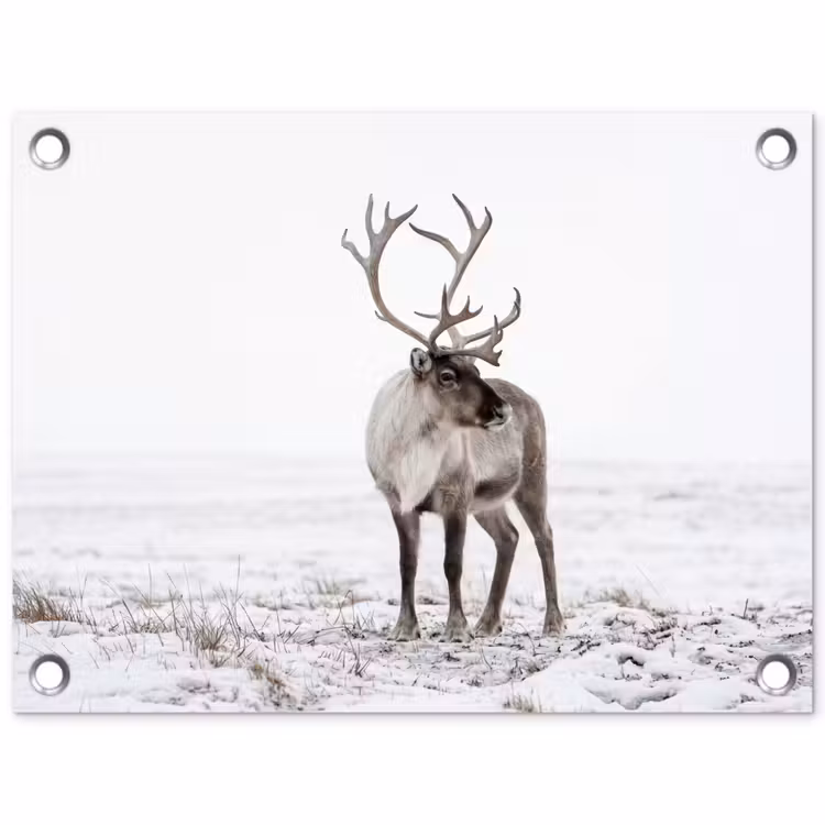 Rendier - Gewei - Sneeuw - Winter tuinposter los doek klein -3d