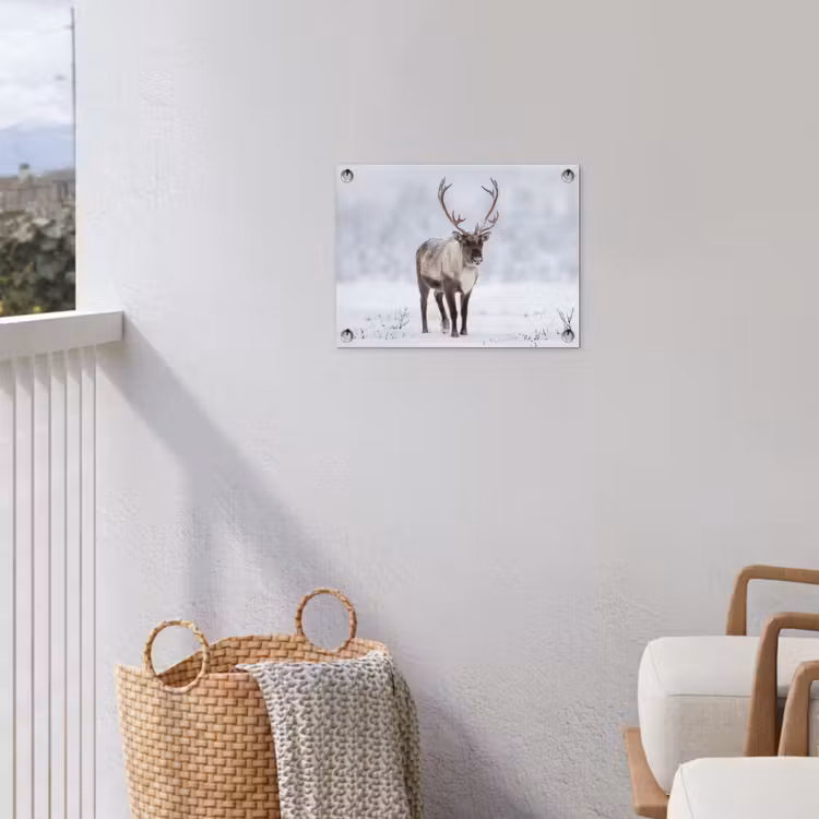 Rendier - Gewei - Toendra - Sneeuw - Wild tuinposter los doek klein -sfeer8