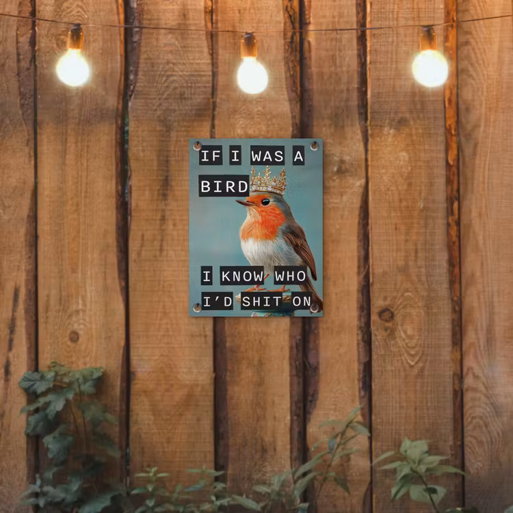 Roodborstje - Vogel - Blauw - Decoratie tuinposter los doek klein -sfeer1