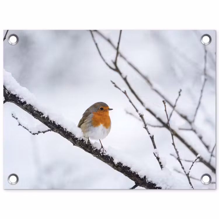 Roodborstje - Tak - Sneeuw - Winter - Levendig tuinposter los doek klein -3d