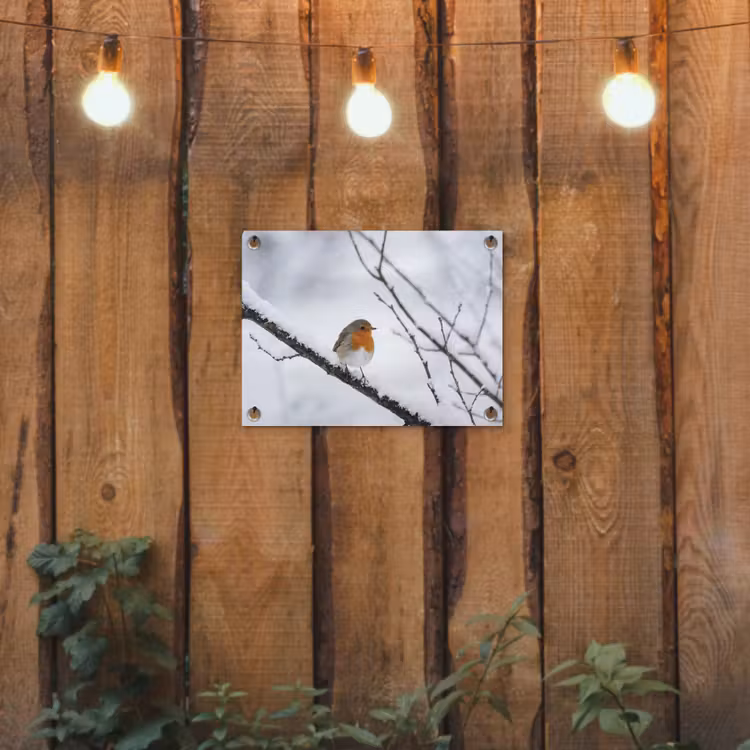 Roodborstje - Tak - Sneeuw - Winter - Levendig tuinposter los doek klein -sfeer1