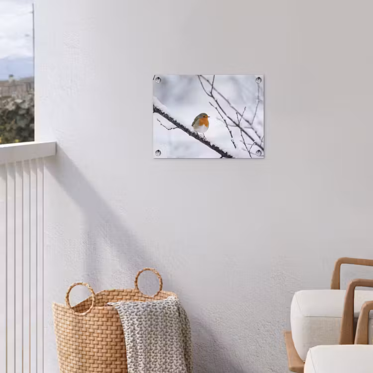 Roodborstje - Tak - Sneeuw - Winter - Levendig tuinposter los doek klein -sfeer8