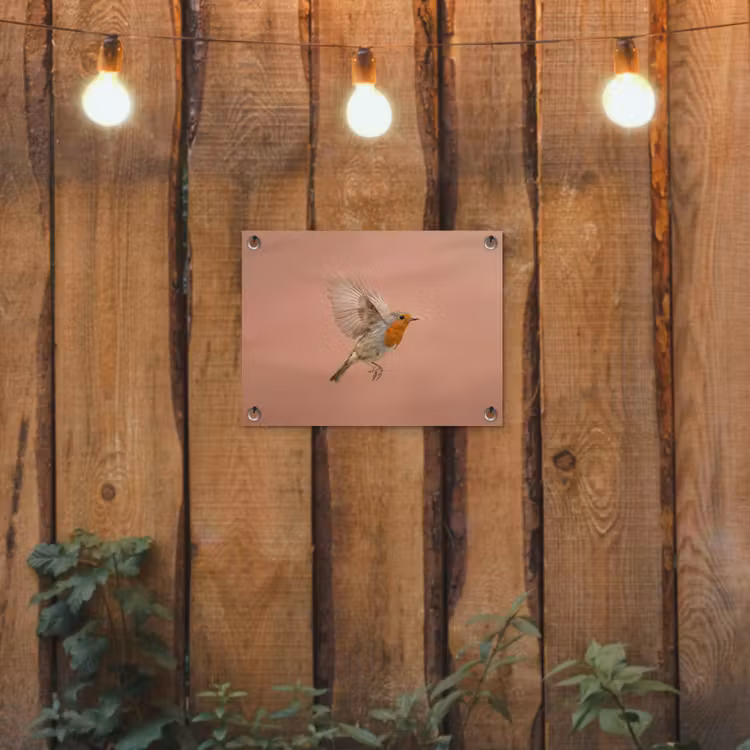 Roodborst - Natuur - Roze tuinposter los doek klein -sfeer1