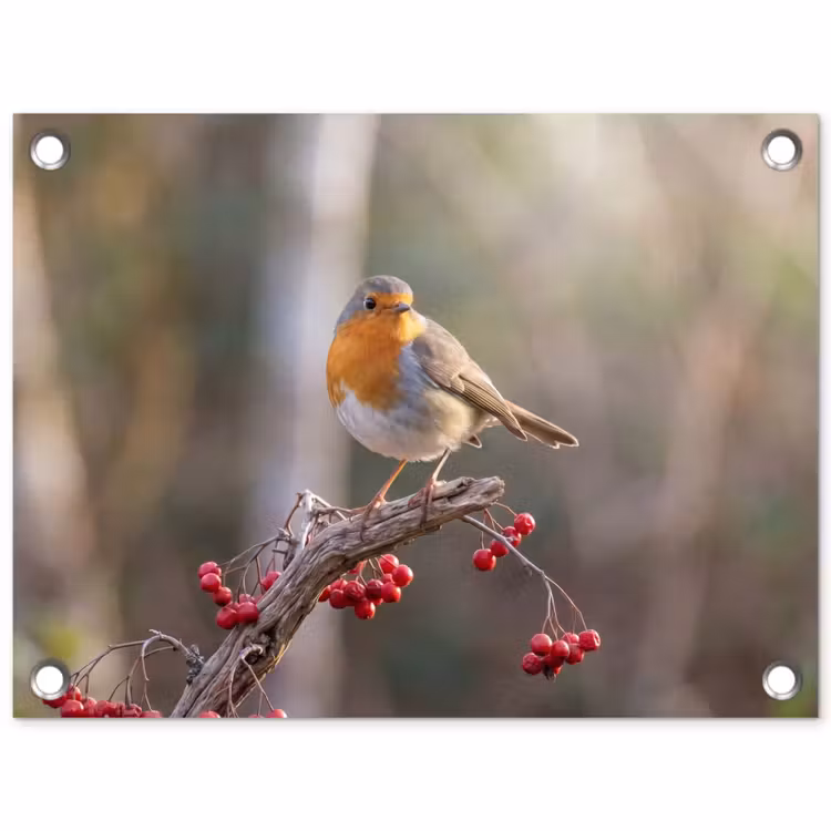Roodborst - Tak - Bessen - Natuur tuinposter los doek klein -3d