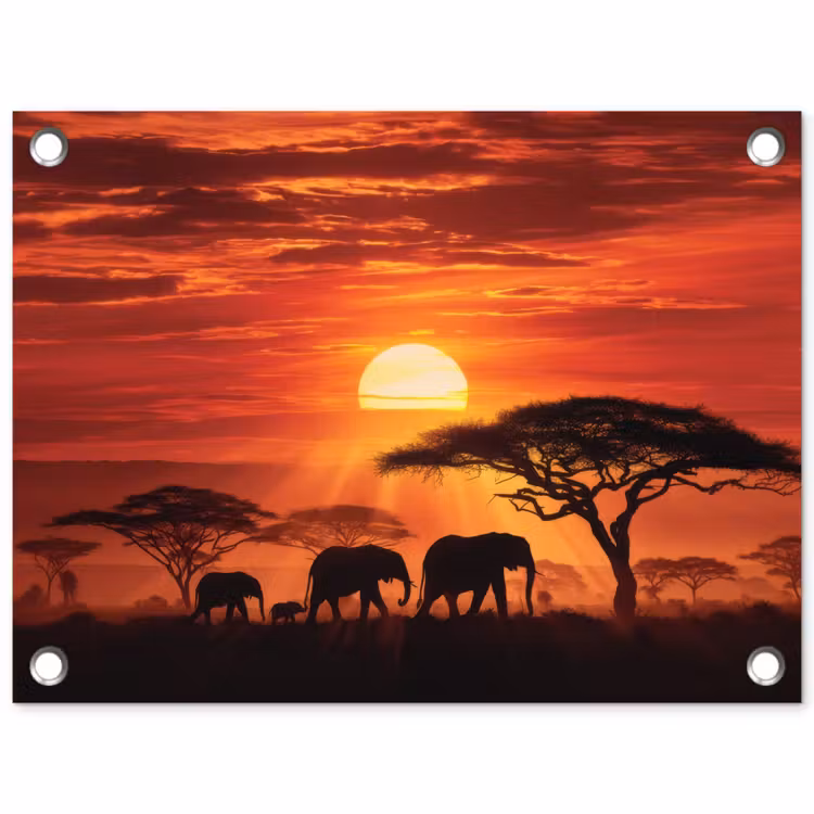 Savanne - Olifanten - Zonsondergang tuinposter los doek klein -3d
