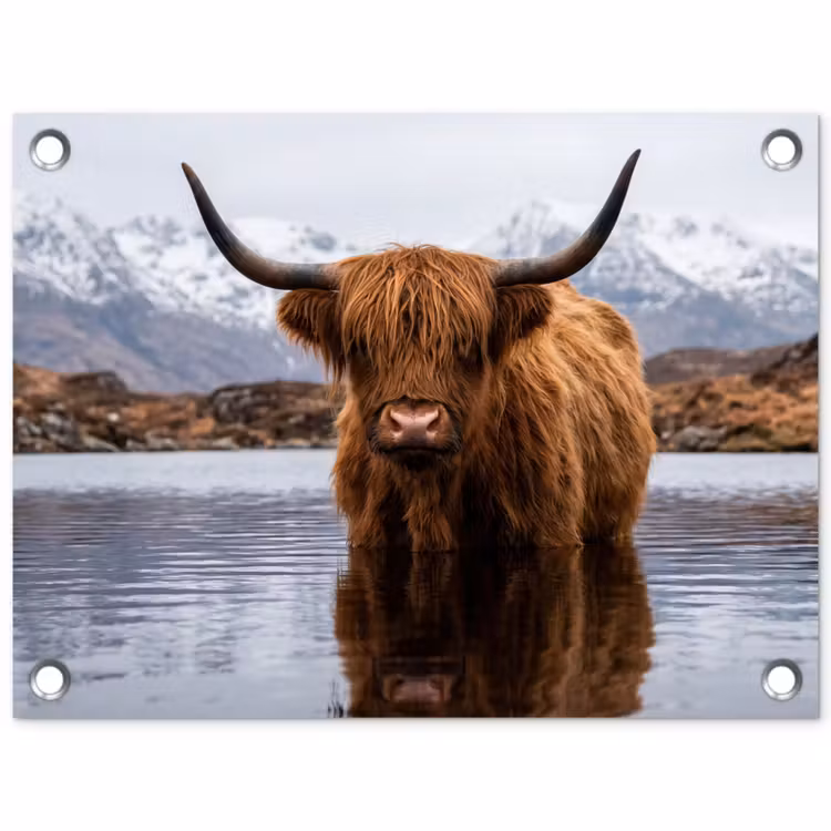 Schotse hooglander - Bruin - Water tuinposter los doek klein -3d