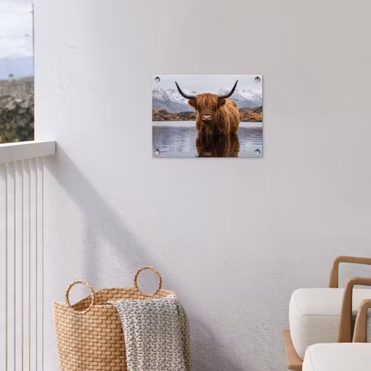 Schotse hooglander - Bruin - Water tuinposter los doek klein -sfeer8