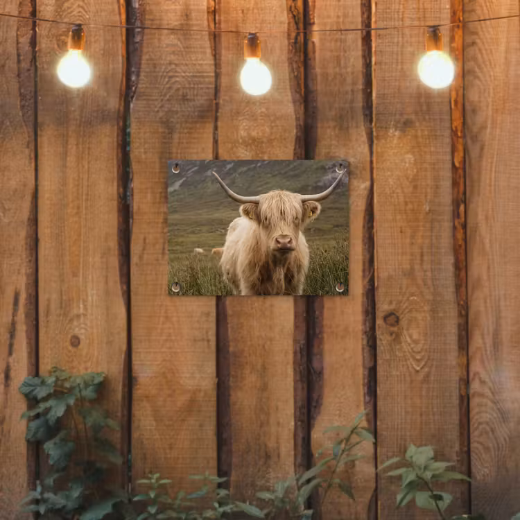 Schotse hooglander - Bergen - Grasveld tuinposter los doek klein -sfeer1