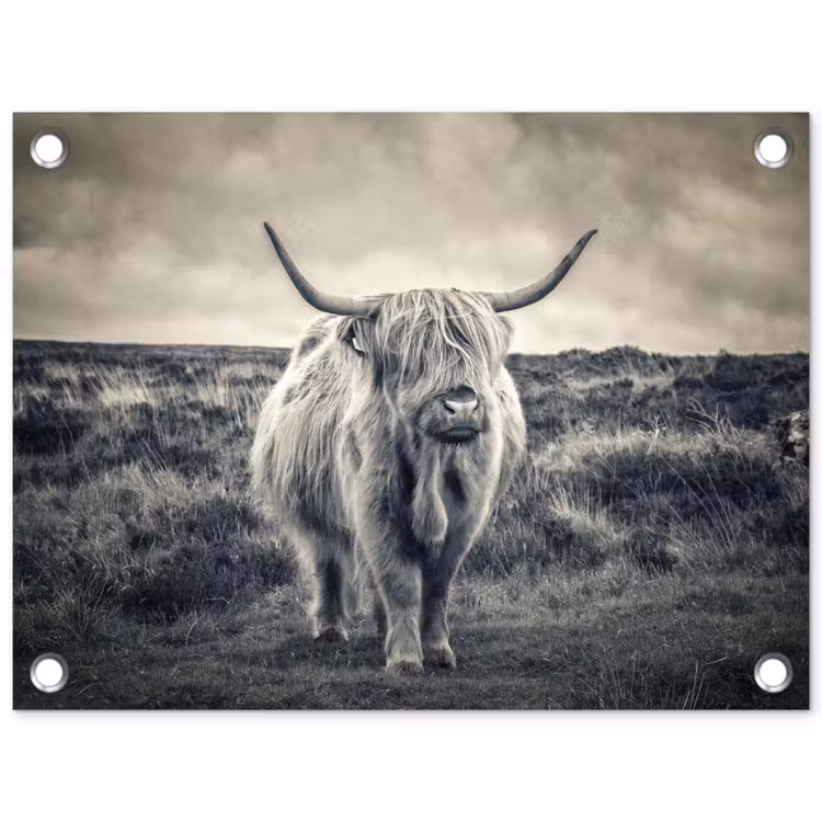 Schotse hooglander - Dieren - Wolken - Koe - Natuur tuinposter los doek klein -3d