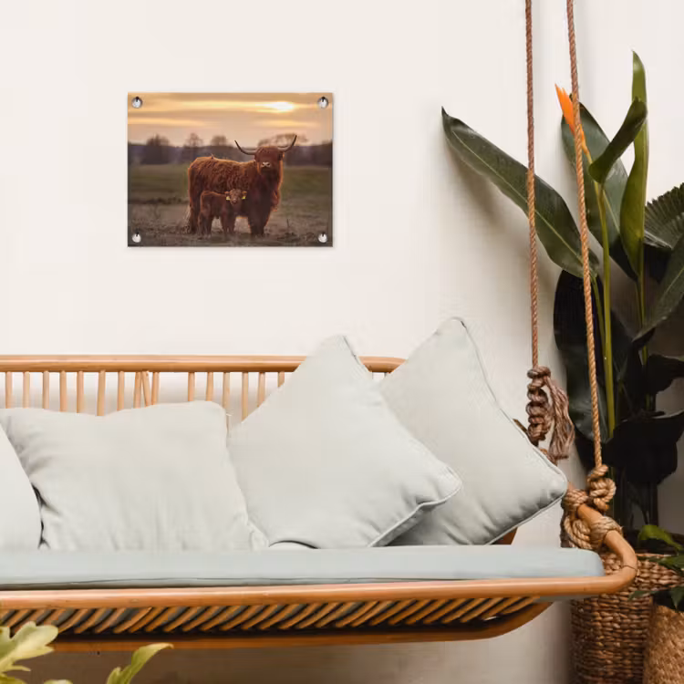 Schotse hooglander - Dieren - Landschap - Zonsondergang - Koe tuinposter los doek klein -sfeer7