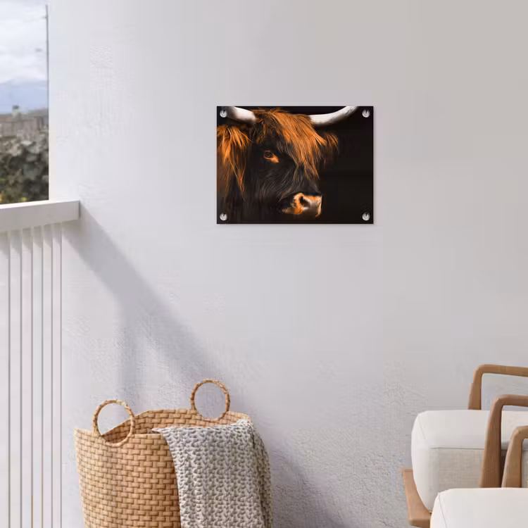 Schotse hooglander - Zwart - Koe - Hoorn - Dieren tuinposter los doek klein -sfeer8