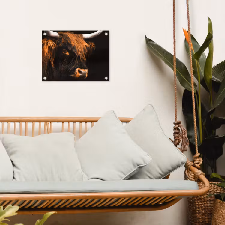 Schotse hooglander - Zwart - Koe - Hoorn - Dieren tuinposter los doek klein -sfeer7