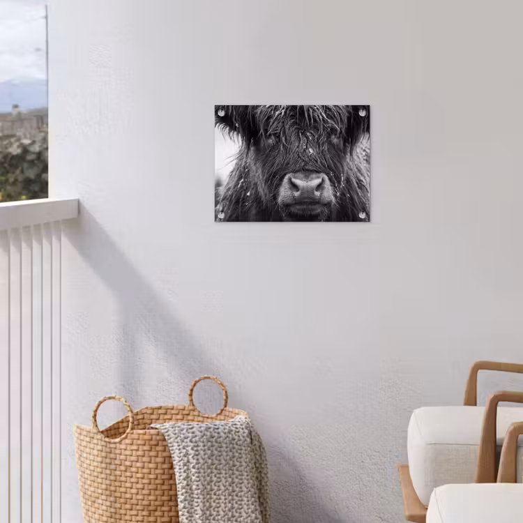 Schotse hooglander - Zwart - Wit - Sneeuwvlokken tuinposter los doek klein -sfeer8