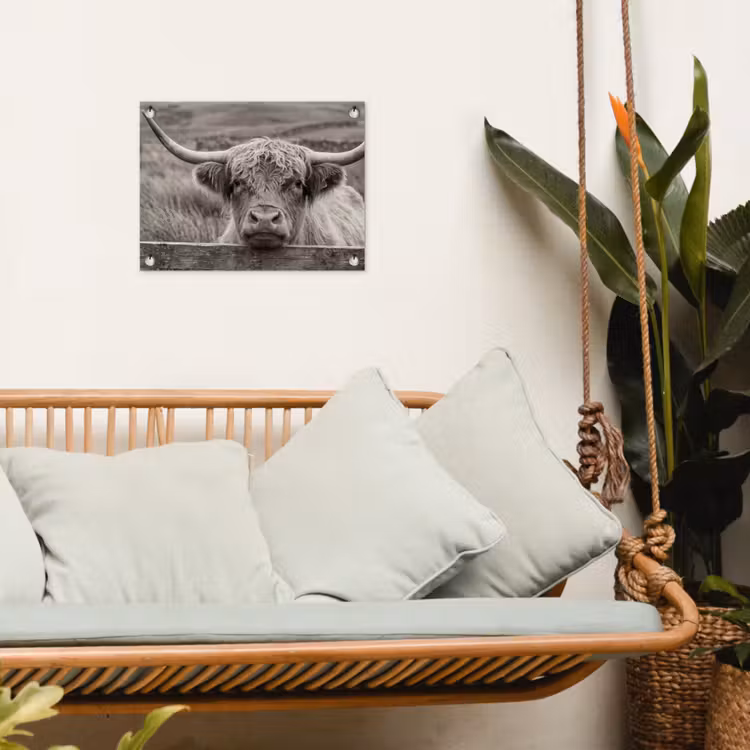 Schotse hooglander - Zwart - Wit - Hout tuinposter los doek klein -sfeer7