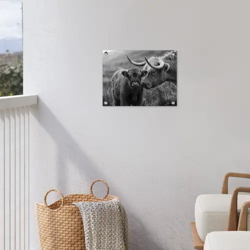 Schotse hooglander - Kalf - Zwart - Wit tuinposter los doek klein -sfeer8