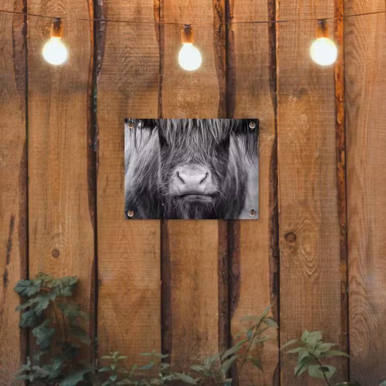 Schotse hooglander - Koe - Zwart - Wit - Dieren tuinposter los doek klein -sfeer1