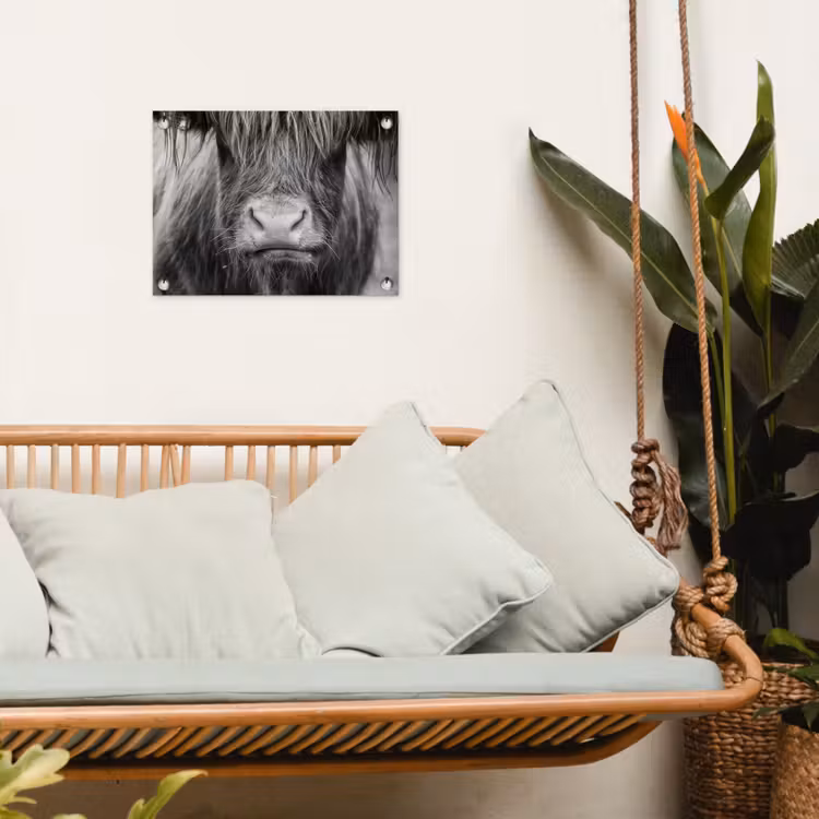Schotse hooglander - Koe - Zwart - Wit - Dieren tuinposter los doek klein -sfeer7