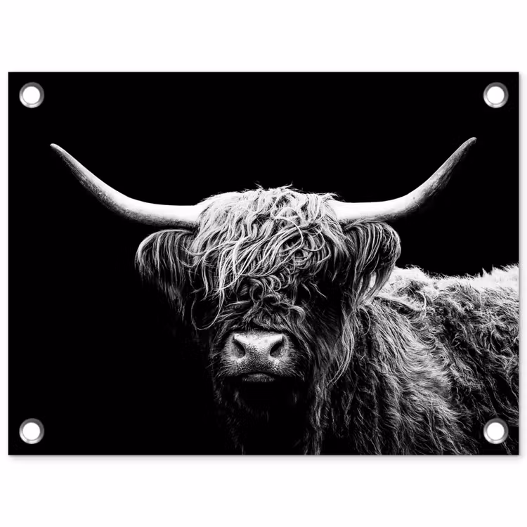 Schotse Hooglander - Koe - Zwart - Wit - Dieren tuinposter los doek klein -3d