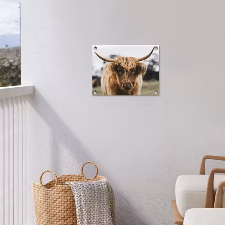 Schotse Hooglander - Koe - Gras - Dieren - Natuur tuinposter los doek klein -sfeer8