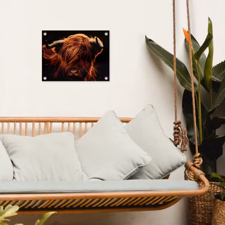 Schotse hooglander - Koe - Hoorns - Portret - Dieren tuinposter los doek klein -sfeer7