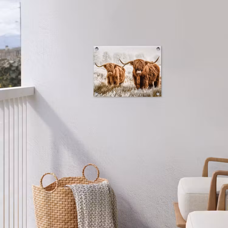 Schotse hooglander - Koe - Dieren - Natuur - Heide tuinposter los doek klein -sfeer8