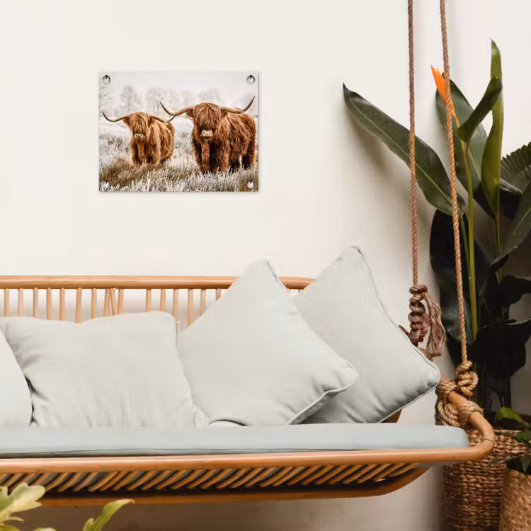 Schotse hooglander - Koe - Dieren - Natuur - Heide tuinposter los doek klein -sfeer7