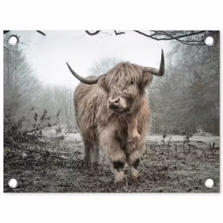 Schotse Hooglander - Bos - Mist - Koe - Dieren - Natuur tuinposter los doek klein -3d
