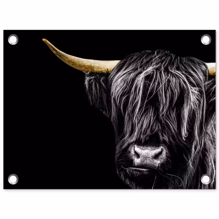 Schotse hooglander - Goud - Vacht - Dieren - Koe tuinposter los doek klein -3d