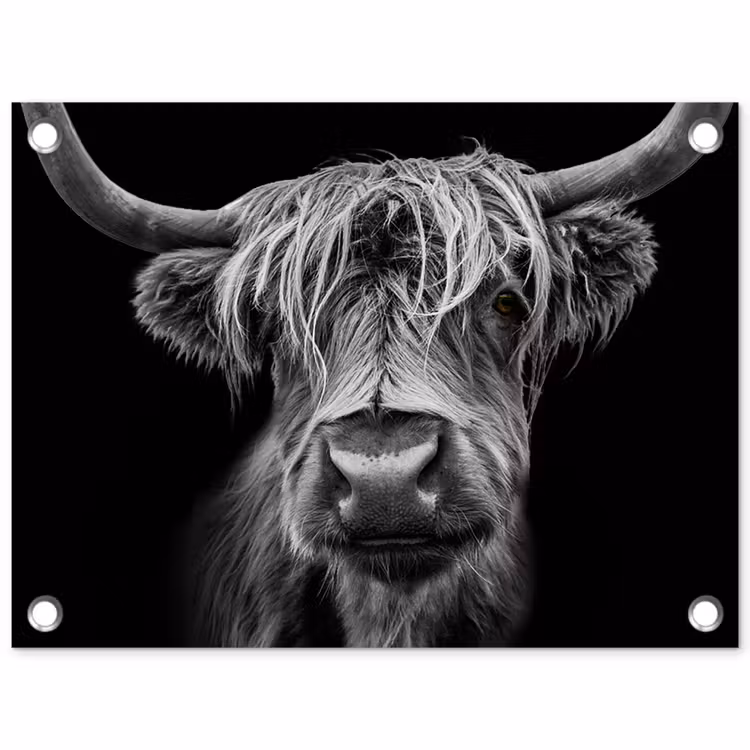 Schotse Hooglander - Horens - Zwart - Wit - Koe - Wild - Dieren tuinposter los doek klein -3d