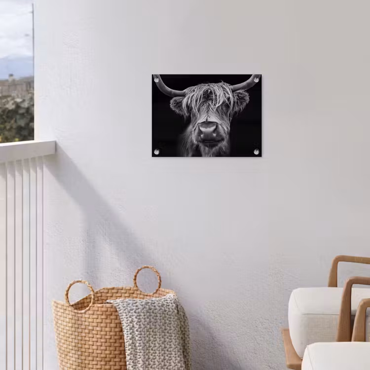 Schotse Hooglander - Horens - Zwart - Wit - Koe - Wild - Dieren tuinposter los doek klein -sfeer8