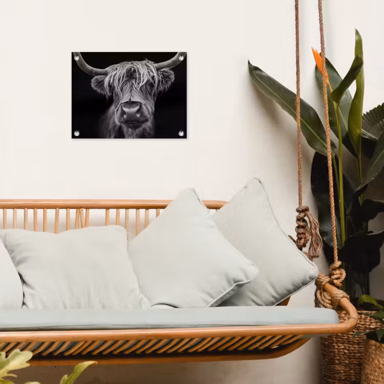 Schotse Hooglander - Horens - Zwart - Wit - Koe - Wild - Dieren tuinposter los doek klein -sfeer7