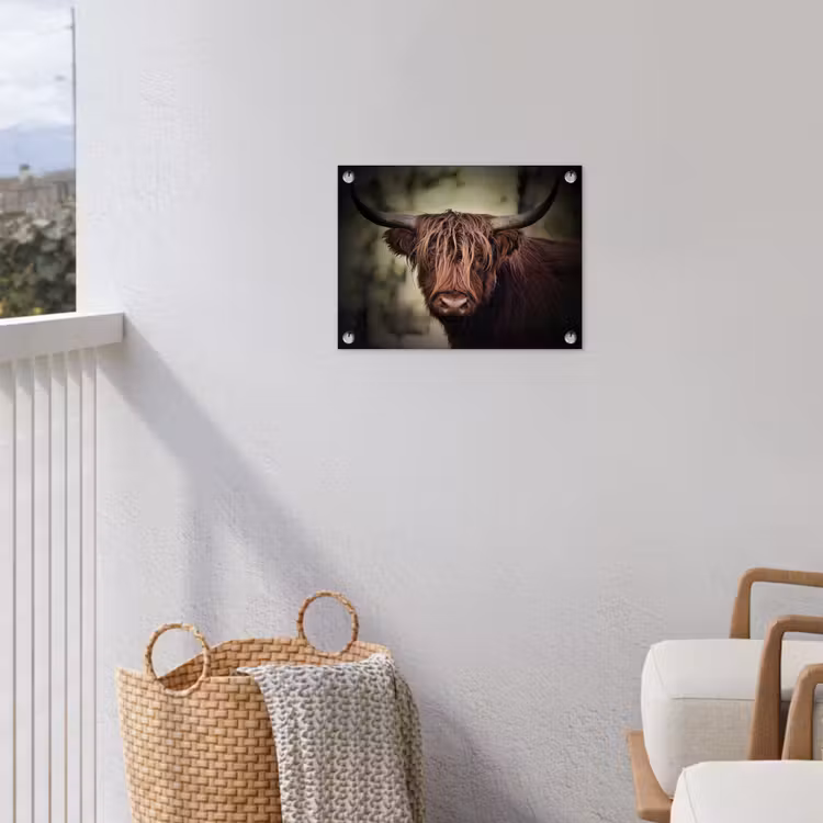 Schotse hooglander - Licht - Portret - Natuur tuinposter los doek klein -sfeer8