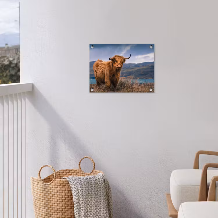 Schotse Hooglander - Berg - Water - Natuur - Koe tuinposter los doek klein -sfeer8
