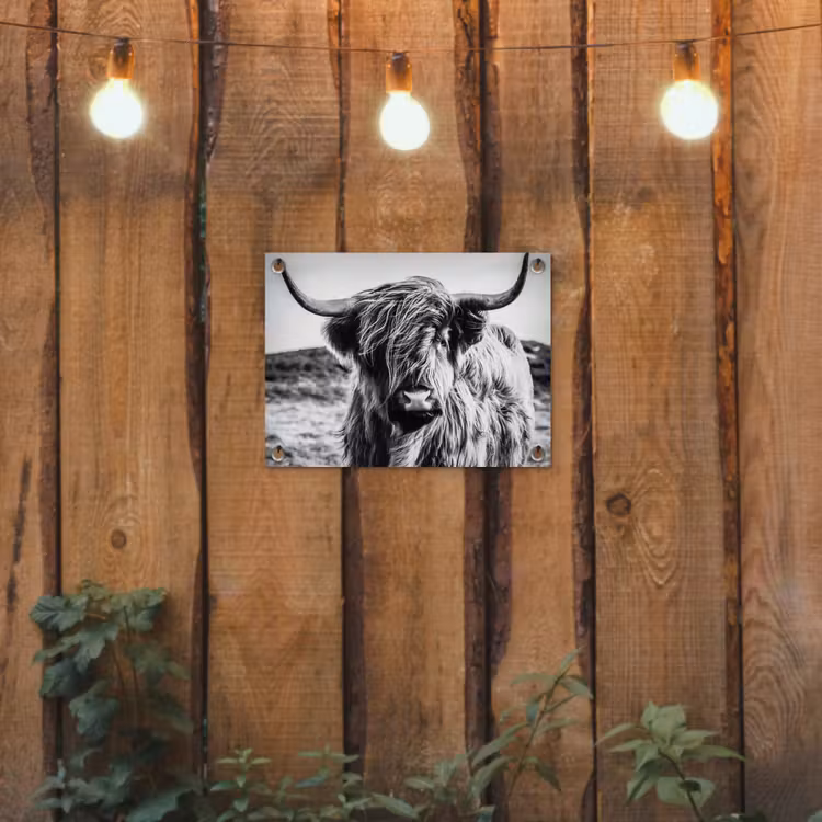 Schotse hooglander - Natuur - Koe - Zwart - Wit tuinposter los doek klein -sfeer1
