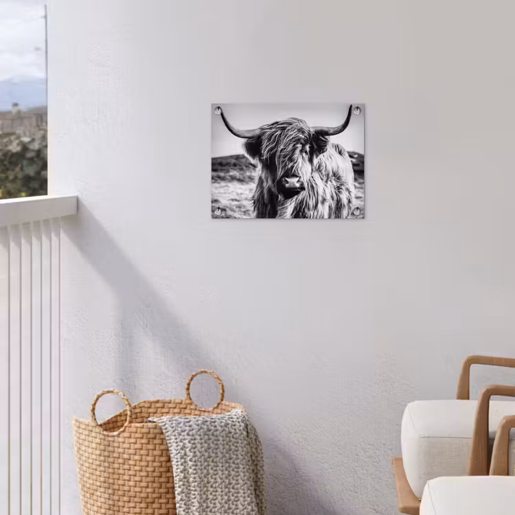 Schotse hooglander - Natuur - Koe - Zwart - Wit tuinposter los doek klein -sfeer8