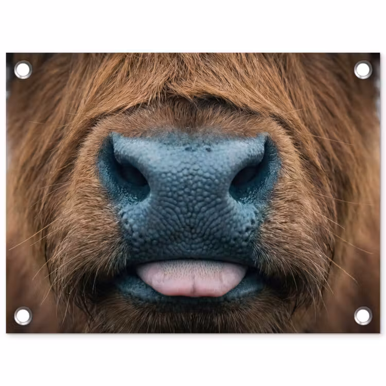 Schotse hooglander - Neus - Bruin tuinposter los doek klein -3d