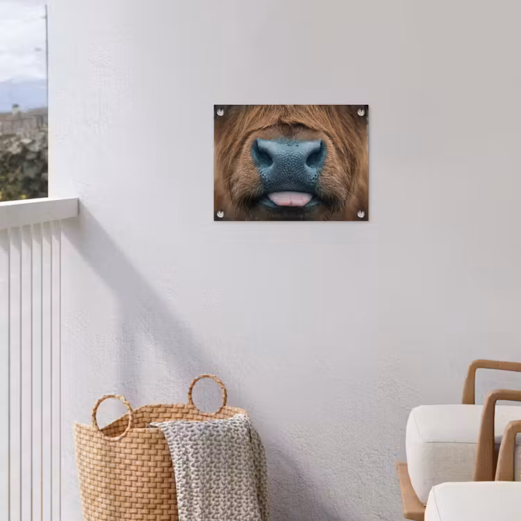 Schotse hooglander - Neus - Bruin tuinposter los doek klein -sfeer8