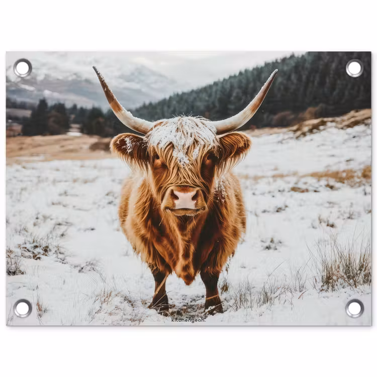 Schotse Hooglander - Sneeuw - Winter - Dieren tuinposter los doek klein -3d