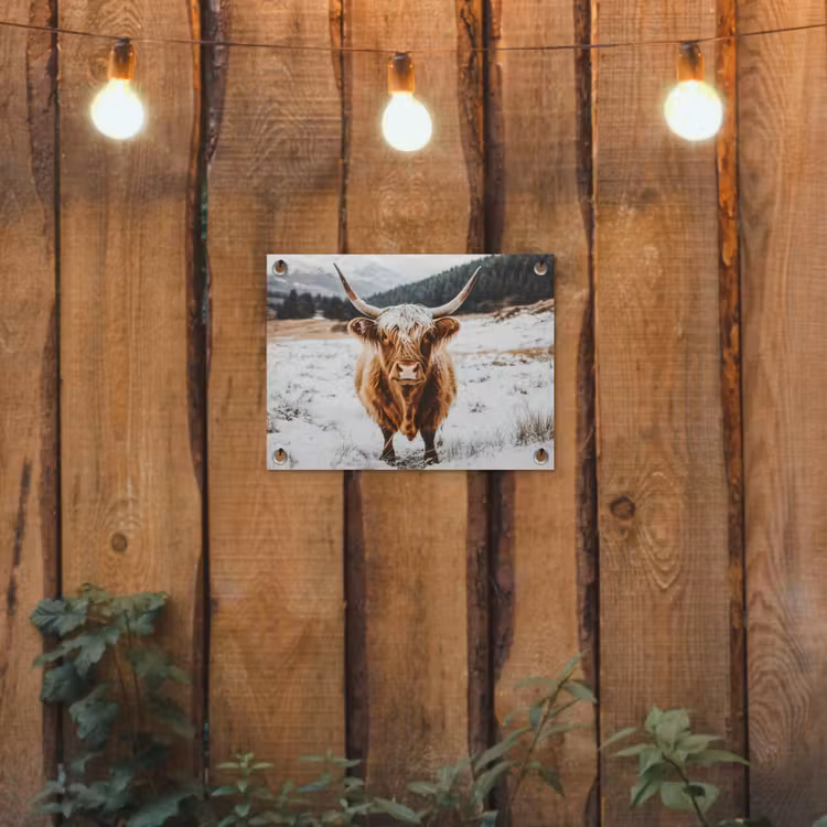 Schotse Hooglander - Sneeuw - Winter - Dieren tuinposter los doek klein -sfeer1