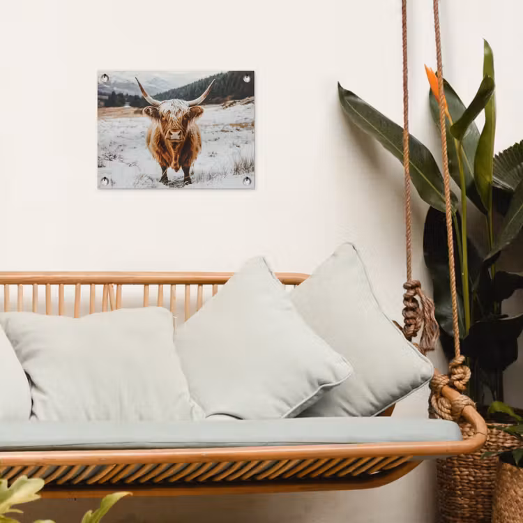 Schotse Hooglander - Sneeuw - Winter - Dieren tuinposter los doek klein -sfeer7