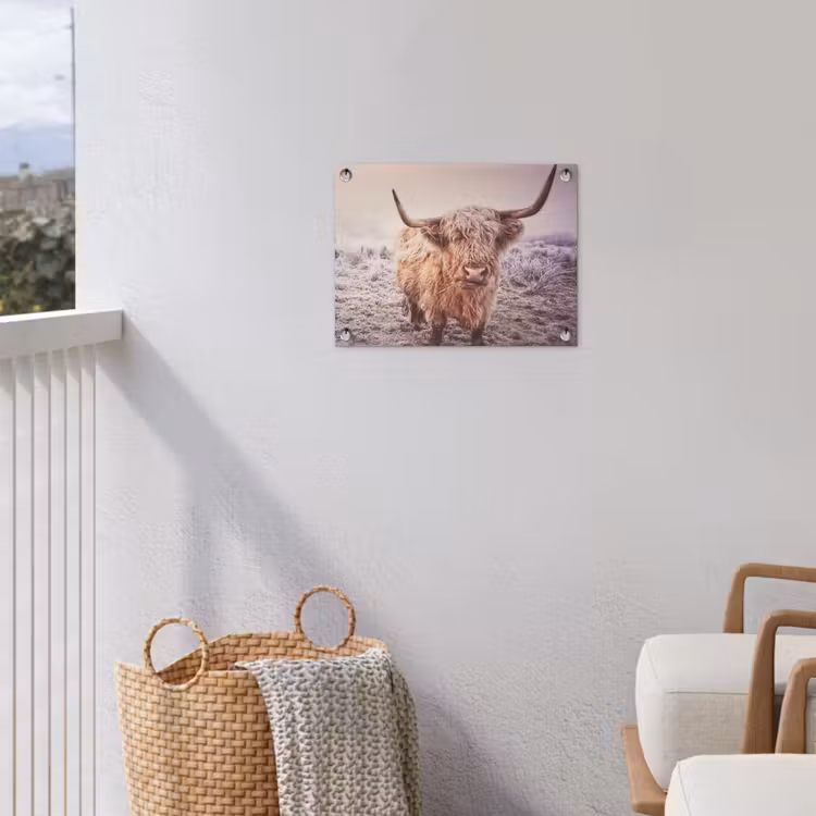 Schotse hooglanders - Licht - Lucht - Natuur tuinposter los doek klein -sfeer8