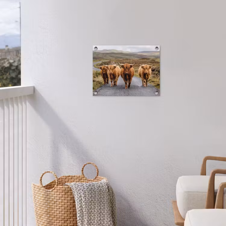 Schotse Hooglanders - Weg - Landschap - Kudde tuinposter los doek klein -sfeer8