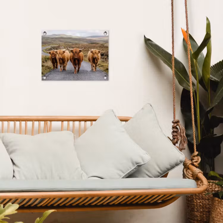 Schotse Hooglanders - Weg - Landschap - Kudde tuinposter los doek klein -sfeer7