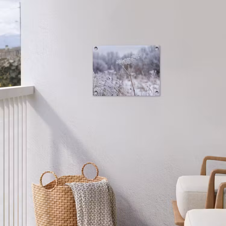 Schermbloem - Rijp - Kristallen - Winter - Delicaat tuinposter los doek klein -sfeer8