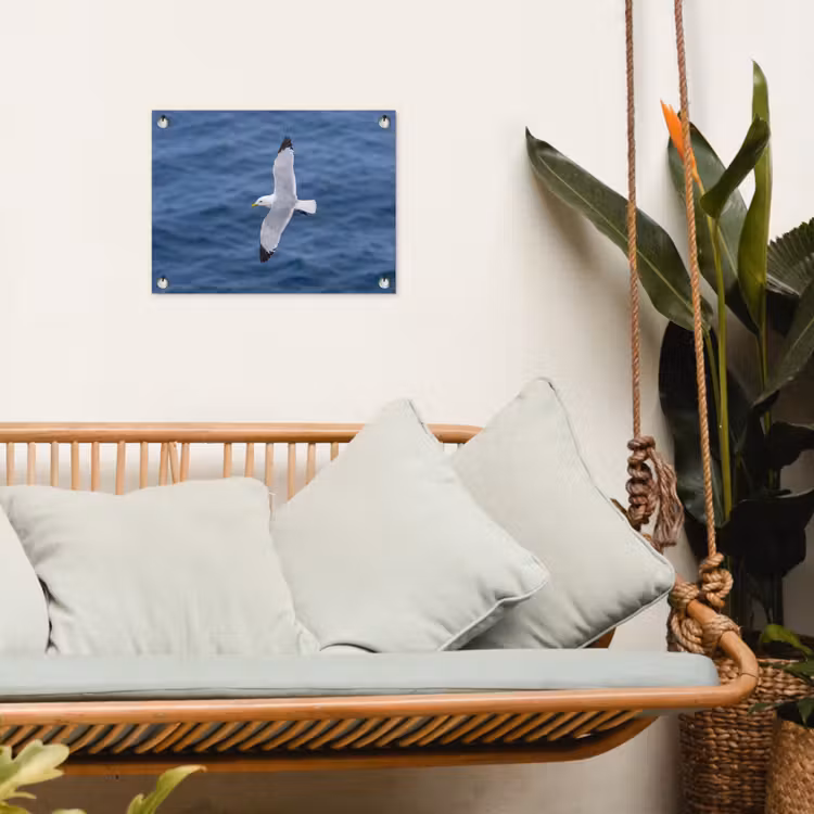 Zeemeeuw - Oceaan - Blauw tuinposter los doek klein -sfeer7