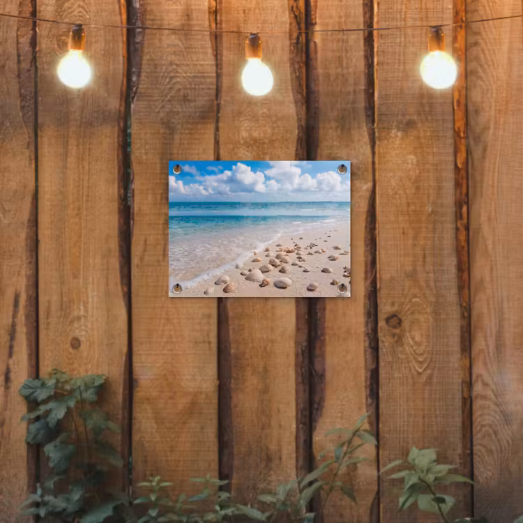 Schelpen - Strand - Natuur - Beige tuinposter los doek klein -sfeer1