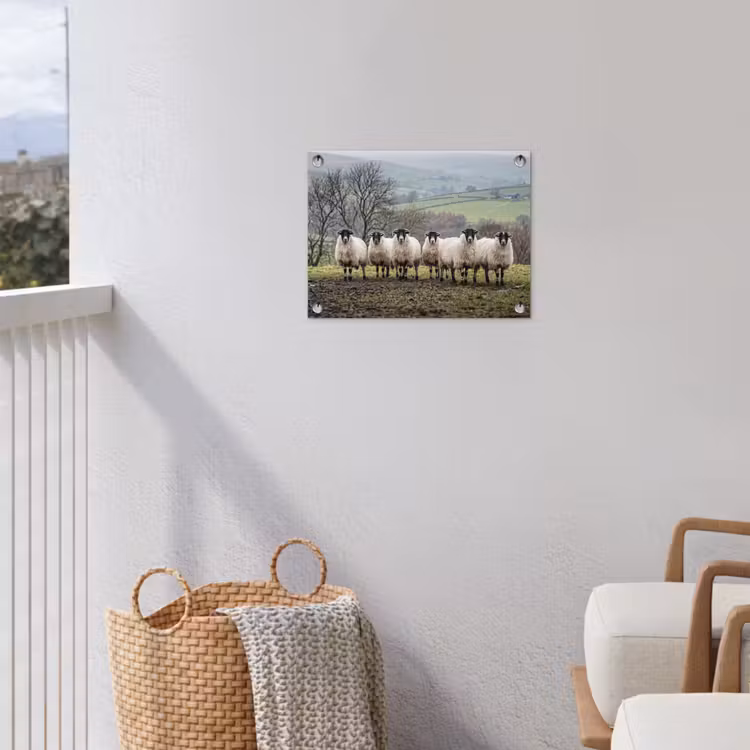 Schapen - Rij - Weide - Dieren - Platteland tuinposter los doek klein -sfeer8