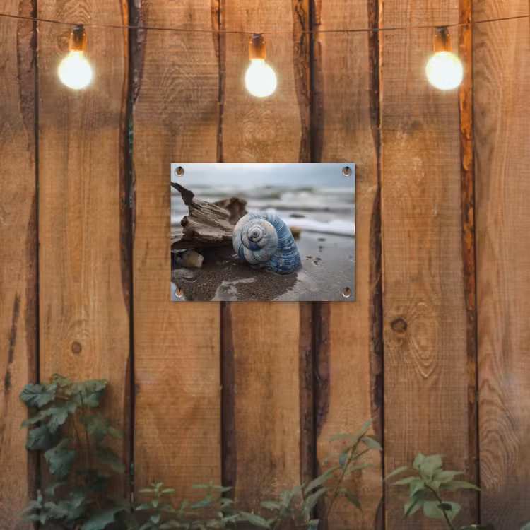 Schelp - Strand - Blauw - Zee tuinposter los doek klein -sfeer1