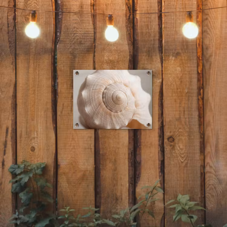 Schelp - Detail - Beige tuinposter los doek klein -sfeer1