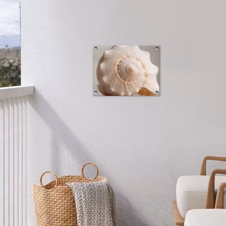 Schelp - Detail - Beige tuinposter los doek klein -sfeer8